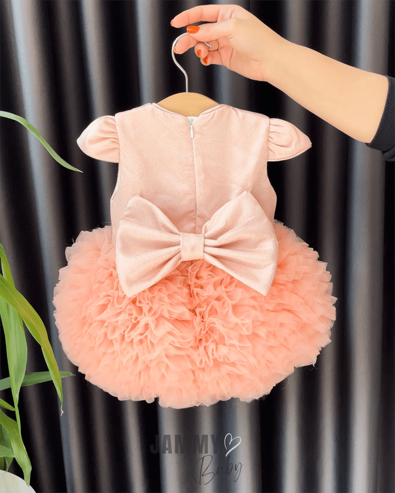 Vivian Tutu Skirt Special Occasion Dress - SALMON - Jammy Baby Canada