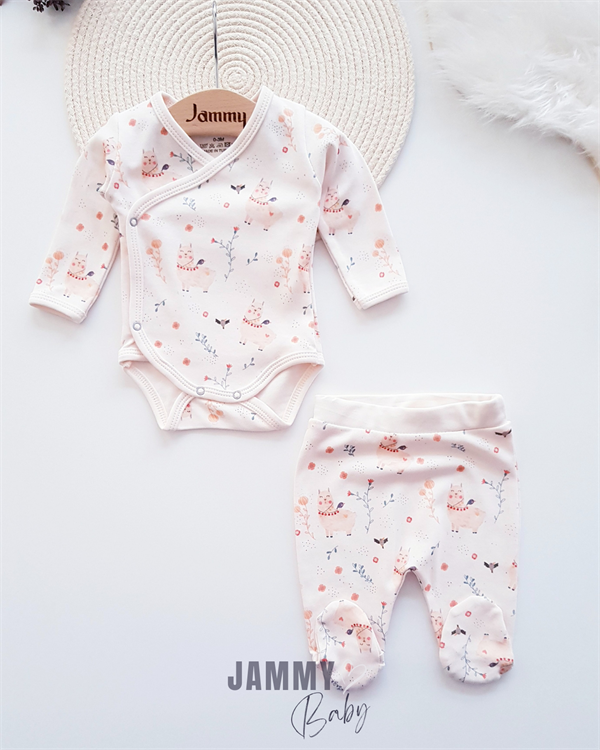 Baby girl bodysuit set best sale